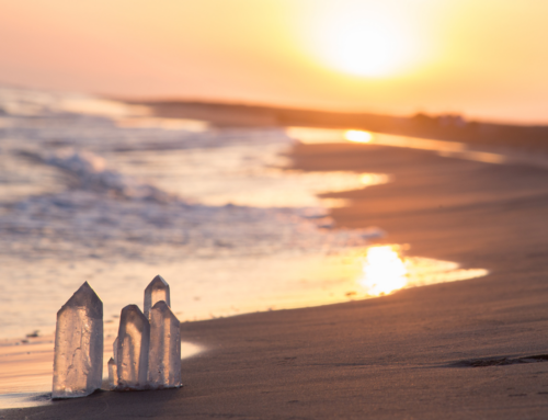 The Spiritual Alignment Specialist Program